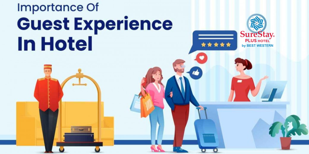Your Ultimate Guide to SureStay Plus Hotel By Best Western Mesa