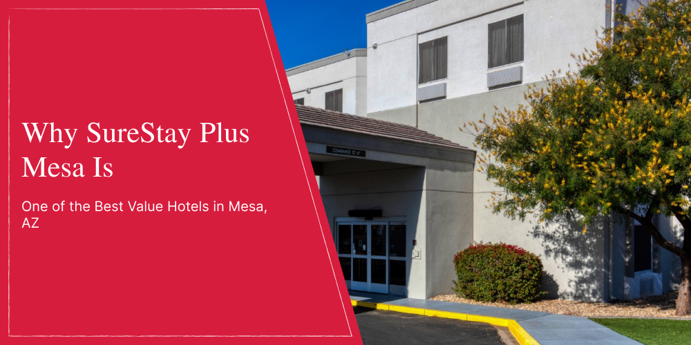 Why SureStay Plus Mesa Is One of the Best Value Hotels in Mesa, AZ
