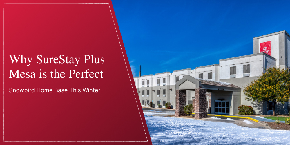 Why SureStay Plus Mesa is the Perfect Snowbird Home Base This Winter