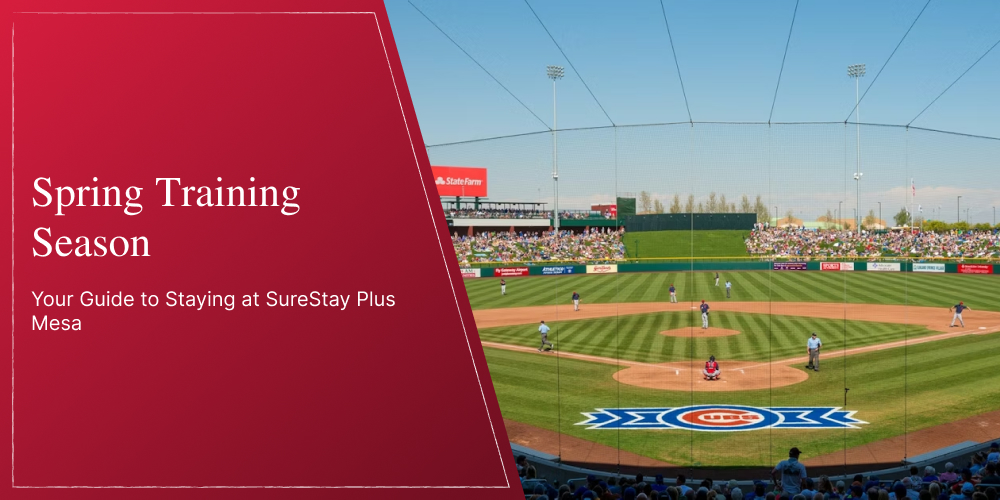 Spring Training Season: Your Guide to Staying at SureStay Plus Mesa